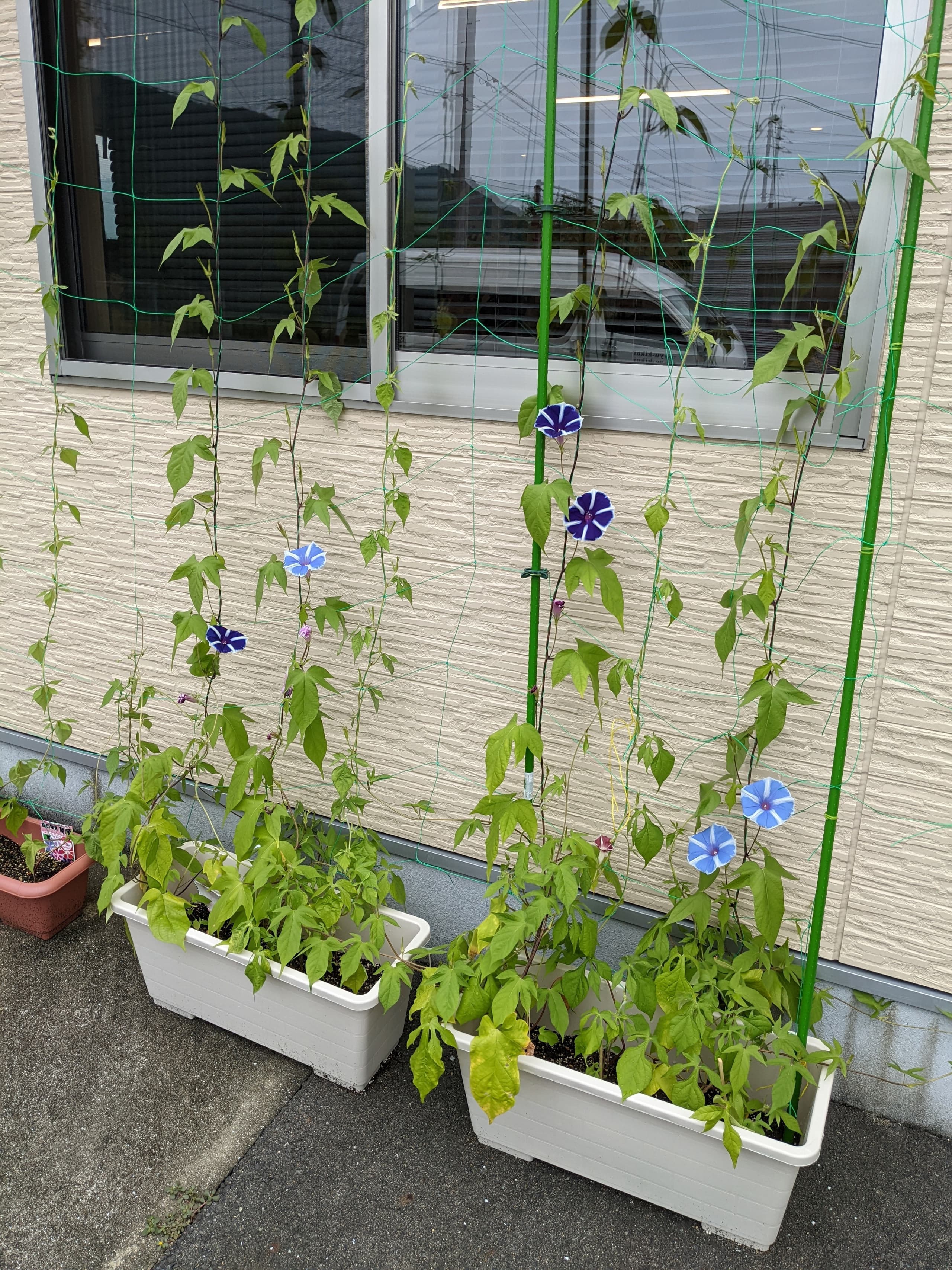 優喜会（きらら）