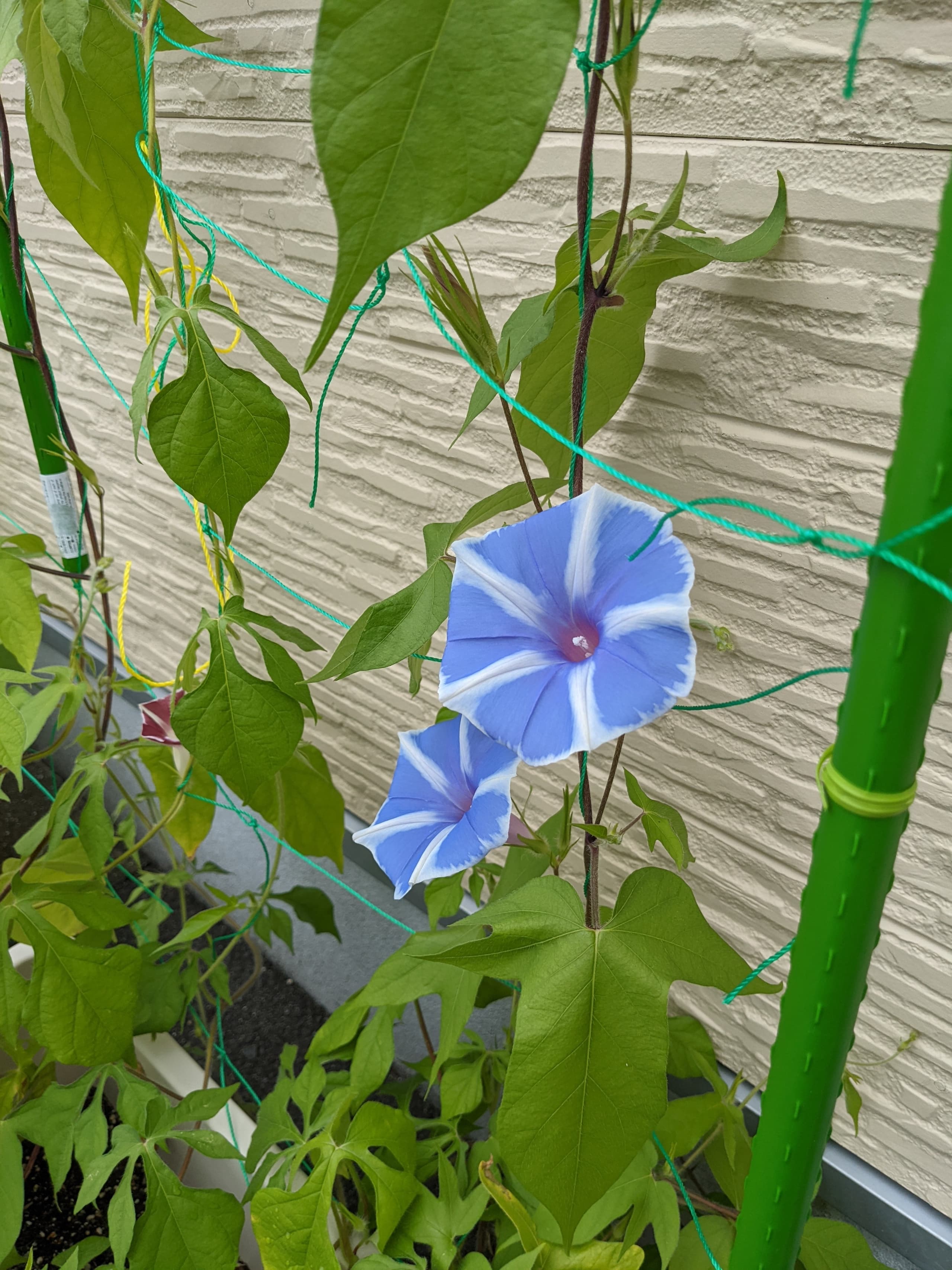 優喜会（きらら）