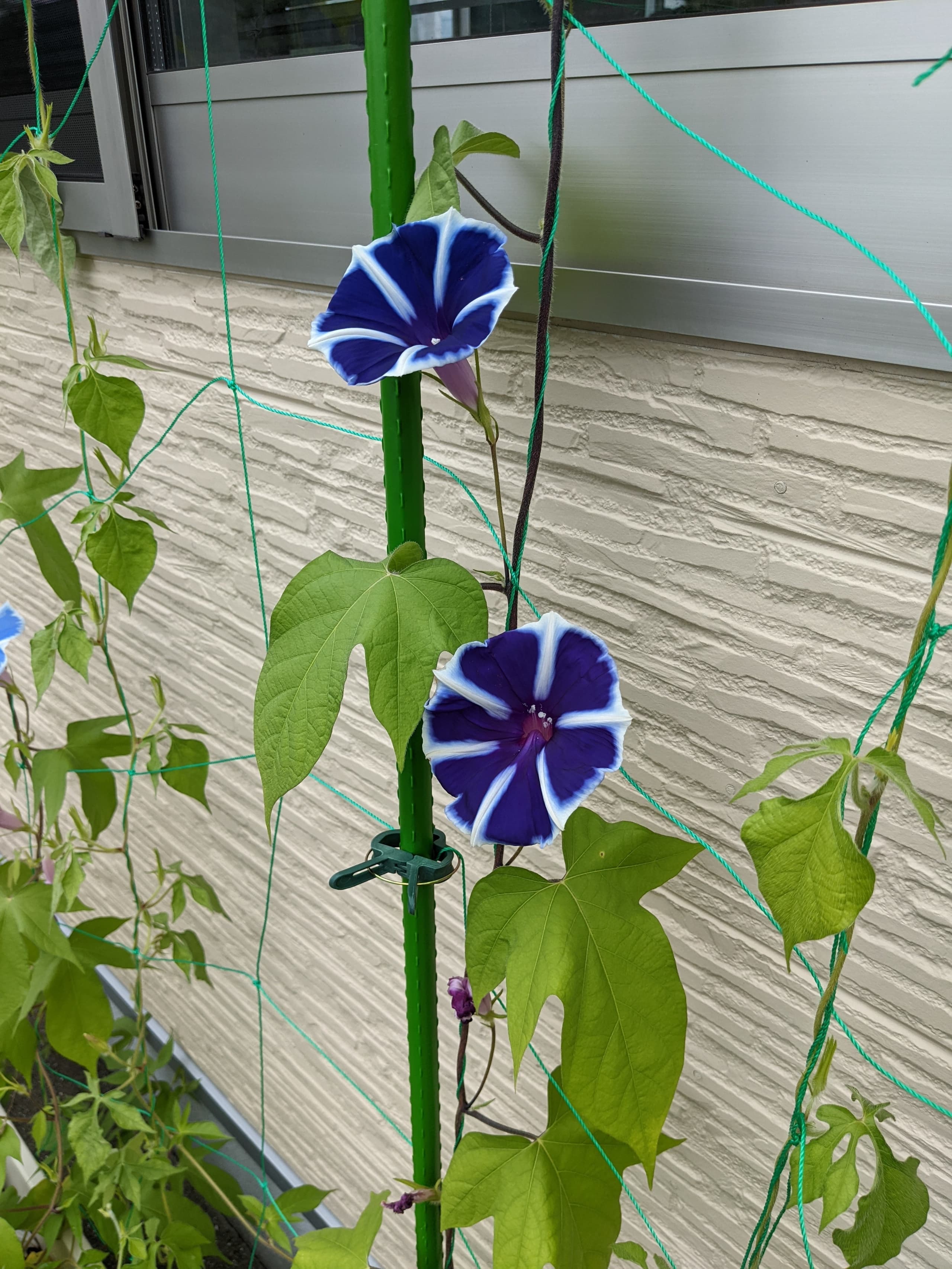 優喜会（きらら）