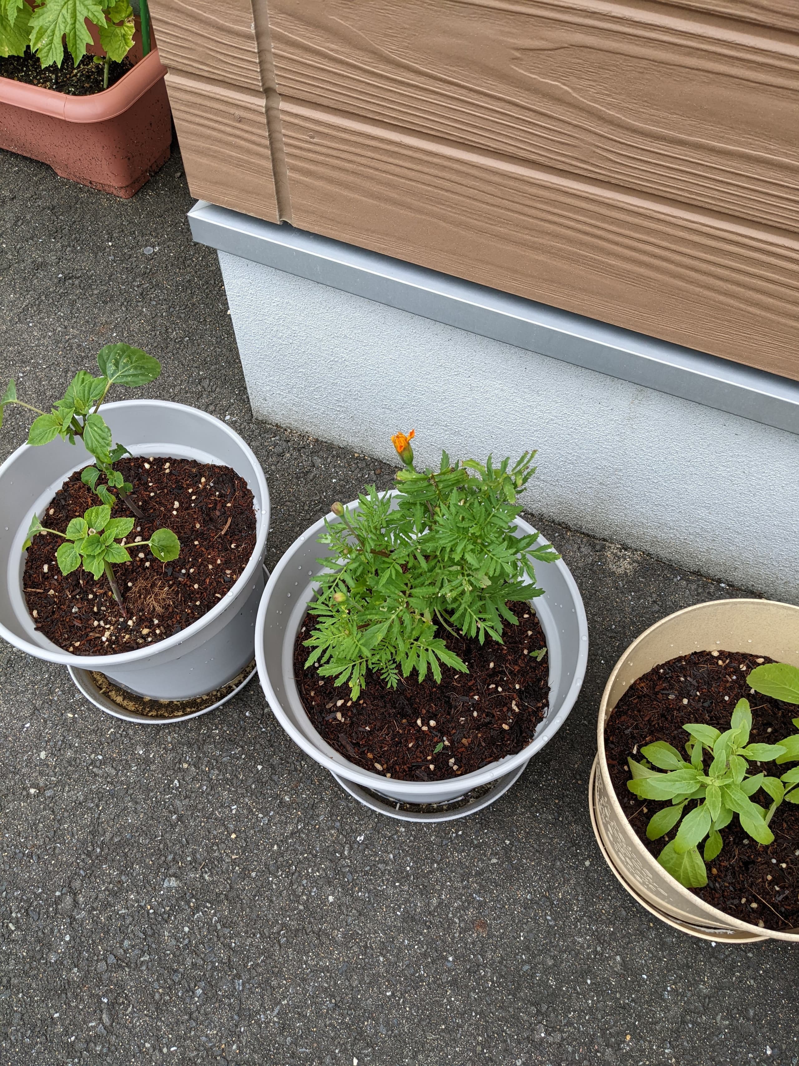 優喜会（きらら）