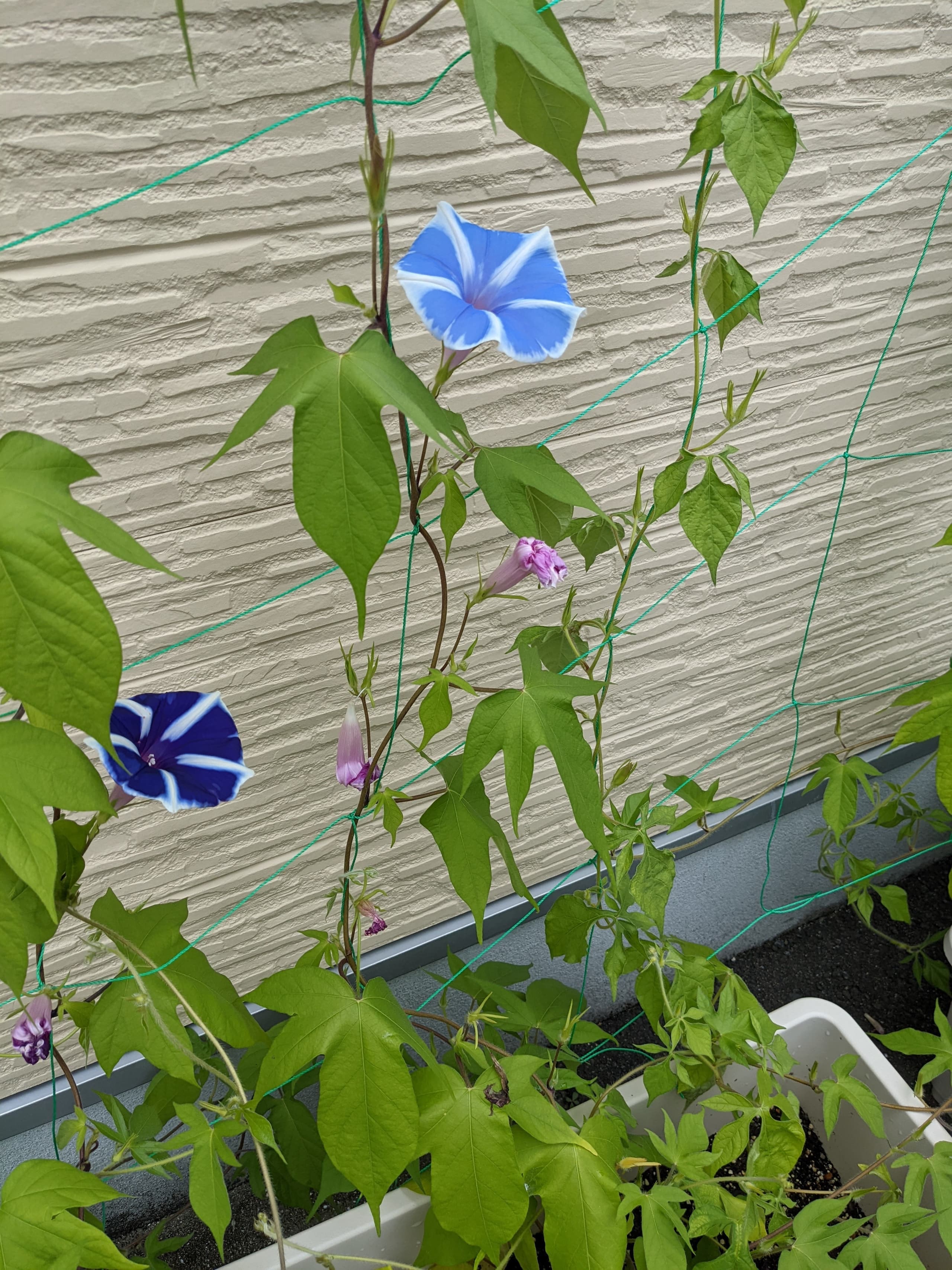 優喜会（きらら）