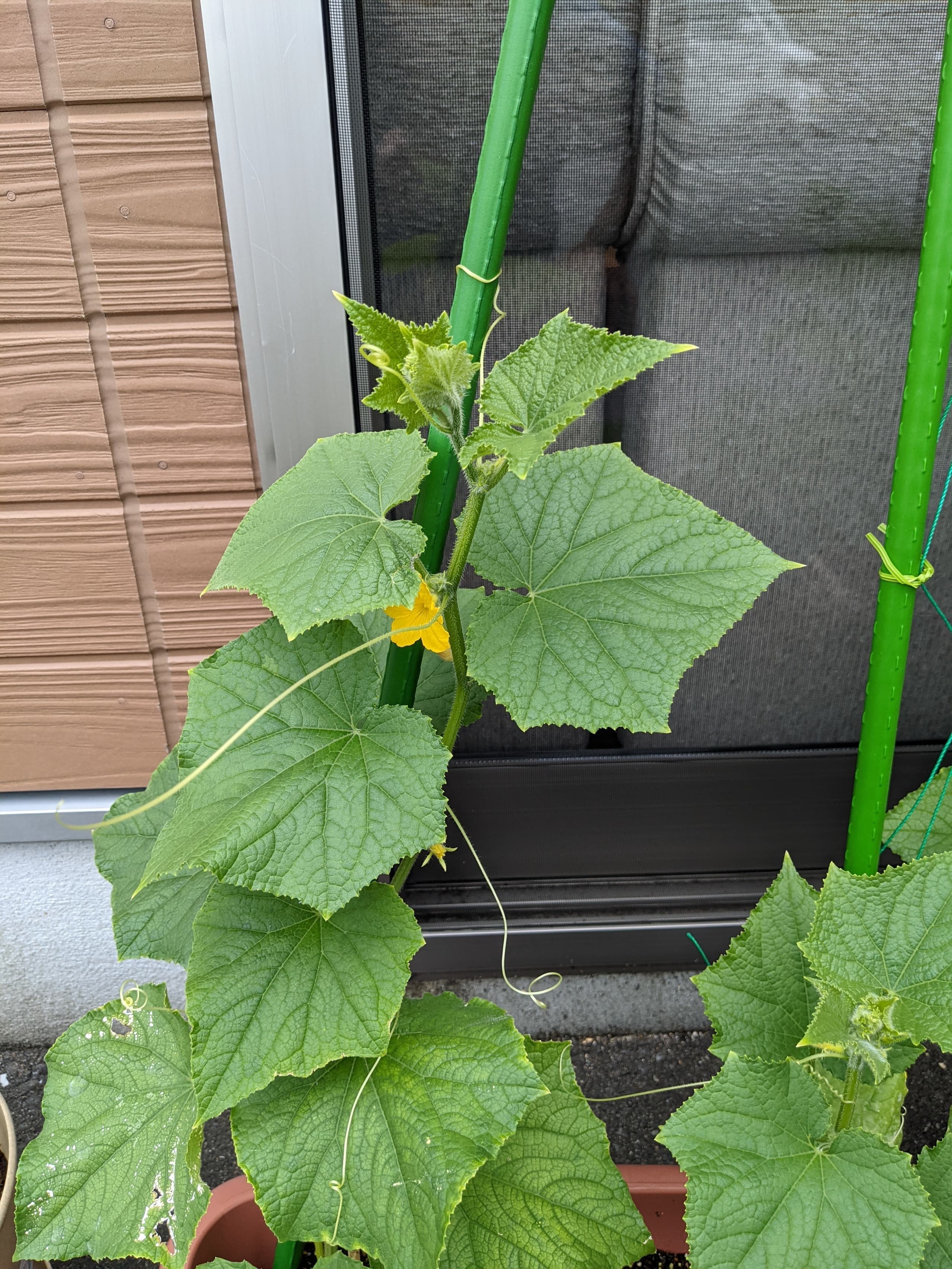 優喜会（きらら）