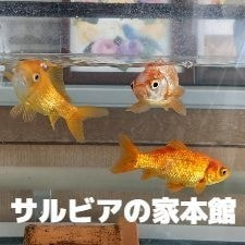 優喜会（きらら）